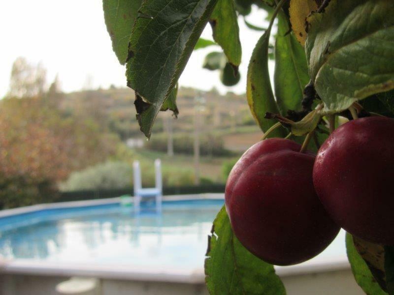 Quintal Do Freixo - Country House Sobral de Monte Agraço エクステリア 写真